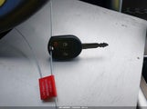 Miniaturka zdjęcia 11