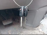 Miniaturka zdjęcia 11