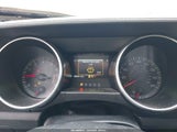 Ford Mustang Ecoboost Fastback 1FA6P8TH4M5128102 снимка