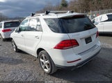 Miniaturka zdjęcia 3