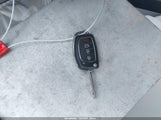 Miniaturka zdjęcia 11