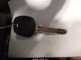 Miniaturka zdjęcia 11