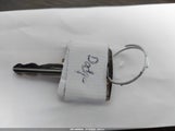 Miniaturka zdjęcia 11