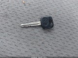 Miniaturka zdjęcia 11