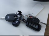 Miniaturka zdjęcia 11