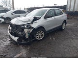 Chevrolet Equinox Ls 2GNAXREV2J6106846 снимка