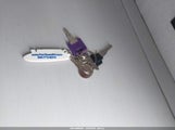 Miniaturka zdjęcia 11