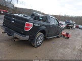 Ford F-150 Fx4/Harley-Davidson/King Ranch/Lariat/Platinum/Xl/Xlt 1FTFW1EV8AFC47297 снимка
