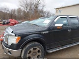 Ford F-150 Fx4/Harley-Davidson/King Ranch/Lariat/Platinum/Xl/Xlt 1FTFW1EV8AFC47297 fotografie