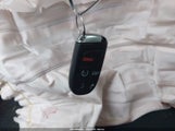 Miniaturka zdjęcia 11