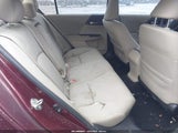 Miniaturka zdjęcia 8