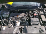 Honda Civic Lx 2HGFC2F62KH554732 снимка