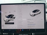 Miniaturka zdjęcia 7