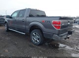 Ford F-150 Xlt 1FTFW1CF6EKF66142 снимка