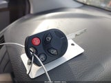Miniaturka zdjęcia 11