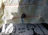 Miniaturka zdjęcia 11