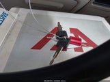 Miniaturka zdjęcia 11