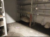 Chevrolet Express Work Van 1GBGG25V371176687 снимка