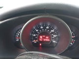 Miniaturka zdjęcia 7