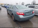 Miniaturka zdjęcia 3