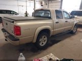 Ram Dakota Bighorn/Lonestar 1D7RW3GP1BS572069 снимка