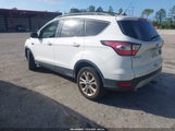 Miniaturka zdjęcia 3