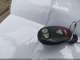 Miniaturka zdjęcia 11