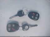 Miniaturka zdjęcia 11