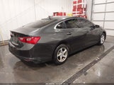 Miniaturka zdjęcia 4