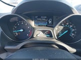 Miniaturka zdjęcia 7
