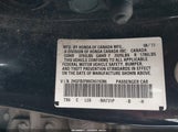 Miniaturka zdjęcia 9
