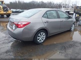 Toyota Corolla Le 2T1BURHE6FC443883 снимка