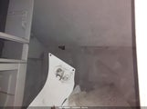 Miniaturka zdjęcia 8