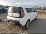 Miniaturka zdjęcia 4