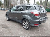 Miniaturka zdjęcia 3