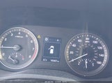 Miniaturka zdjęcia 7