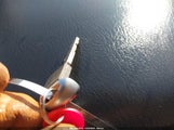 Miniaturka zdjęcia 11