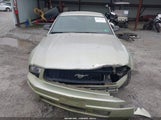 Ford Mustang V6 Deluxe/V6 Premium 1ZVFT80N455222432 fotografie