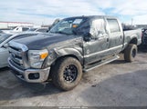 Miniaturka zdjęcia 2