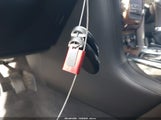 Miniaturka zdjęcia 11