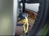 Miniaturka zdjęcia 11