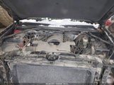 Chevrolet Silverado  Wt 1GCVKPEC5FZ207824 снимка
