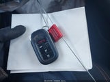 Miniaturka zdjęcia 11