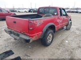 Miniaturka zdjęcia 4