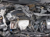 Miniaturka zdjęcia 10