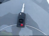 Miniaturka zdjęcia 11