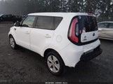 Miniaturka zdjęcia 3