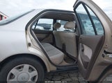 Miniaturka zdjęcia 8