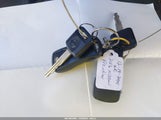 Miniaturka zdjęcia 11