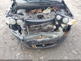 Miniaturka zdjęcia 10